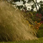 Florario