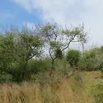 Florario Chieri