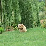 Florario Bed and Breakfast Chieri