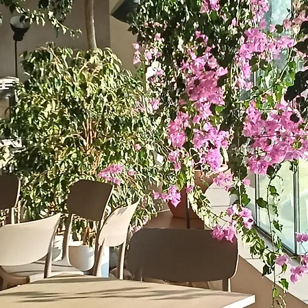 住宿加早餐酒店 Florario 3*