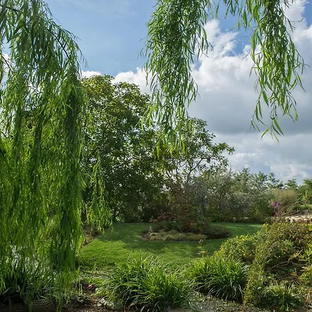 Oda ve Kahvaltı Florario