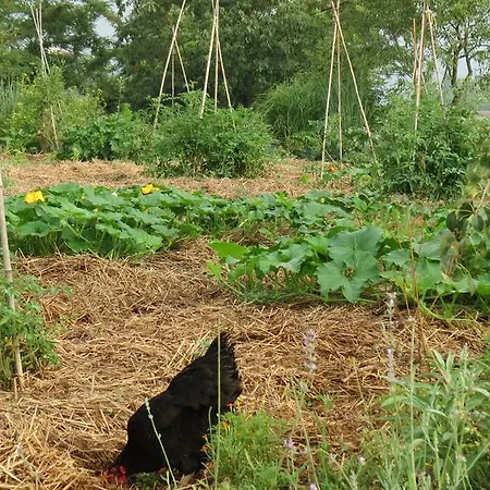 Gospodarstwo agroturystyczne Del Florario Chieri