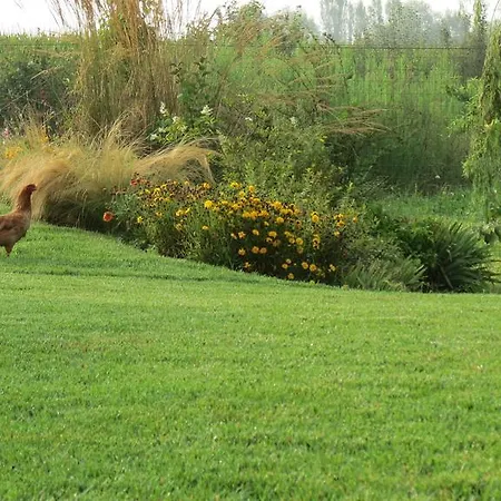 Oda ve Kahvaltı Florario