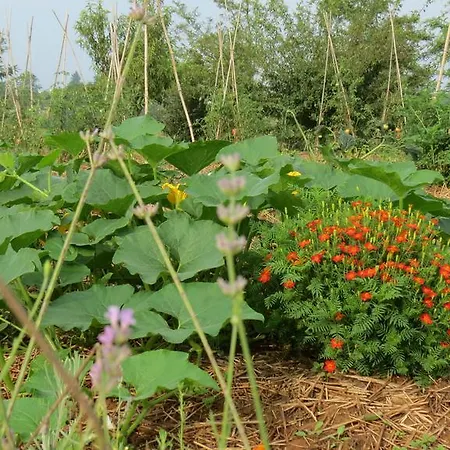 Agriturismo Del Florario Bauernhof Chieri