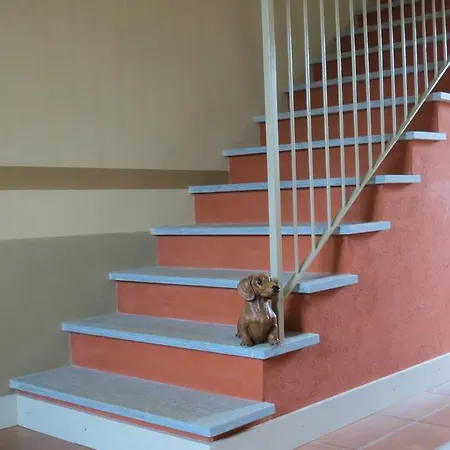 Florario Oda ve Kahvaltı