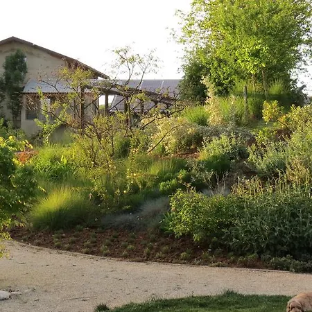 Florario B&B Bed & Breakfast