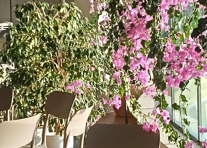 Oda ve Kahvaltı Florario 3*