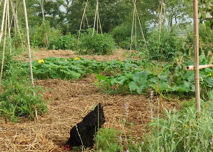 Bed & Breakfast Florario Chieri