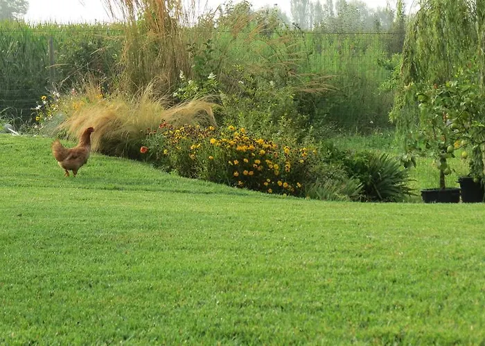 Oda ve Kahvaltı Florario