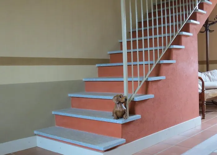 Florario Oda ve Kahvaltı