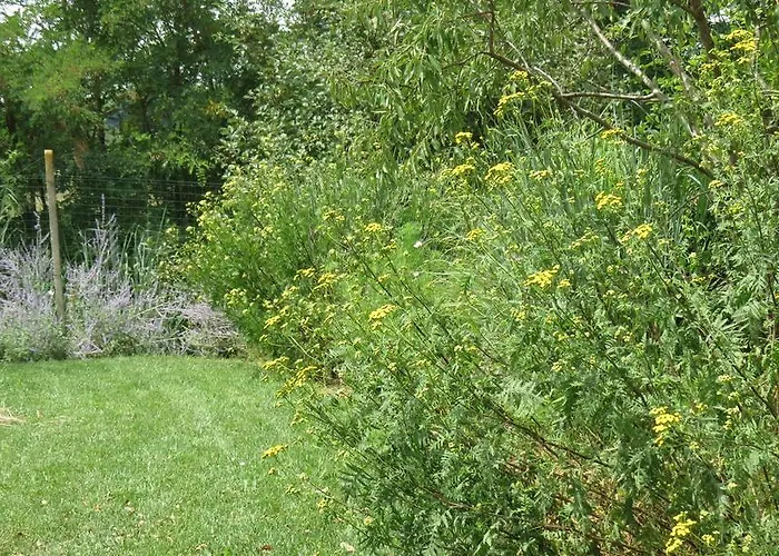 Oda ve Kahvaltı Florario Chieri